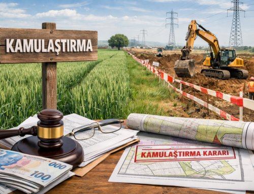 Kamulaştırma,  Kamulaştırma Davası